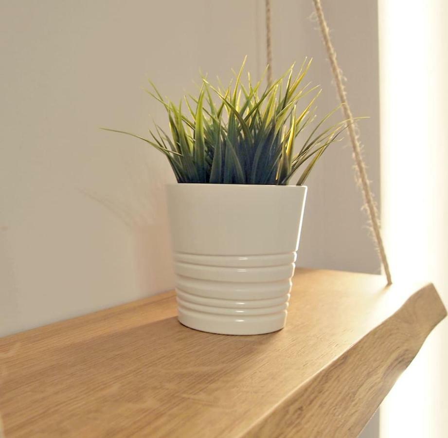 Apartamento Estella-Lizarra エクステリア 写真