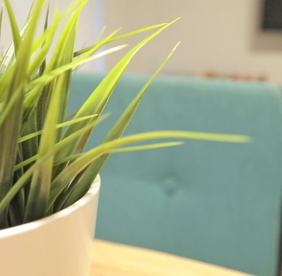 Apartamento Estella-Lizarra エクステリア 写真